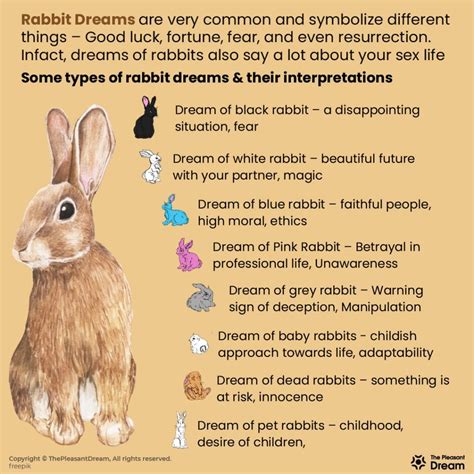 Meaning Of A Rabbit In Dream at Catherine Dorsey blog