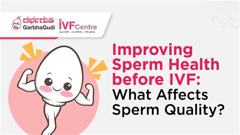 Improving Sperm Health Before IVF: Key Tips for Boosting Sperm Quality