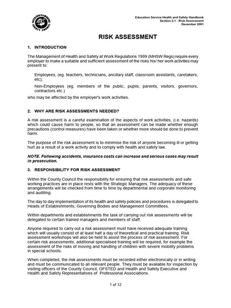 Risk Assessment PDF Example 的图像结果