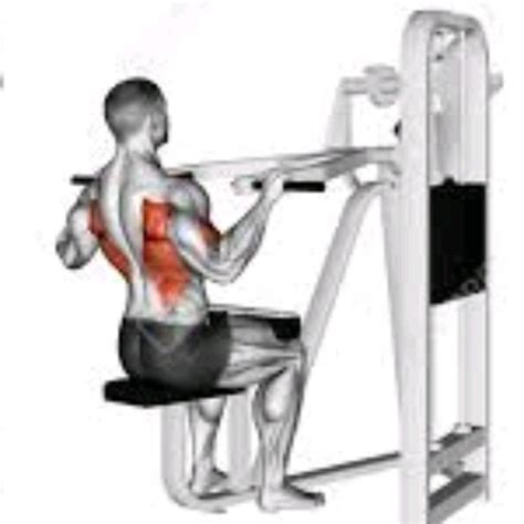 Abdominal Pull Down 的图像结果