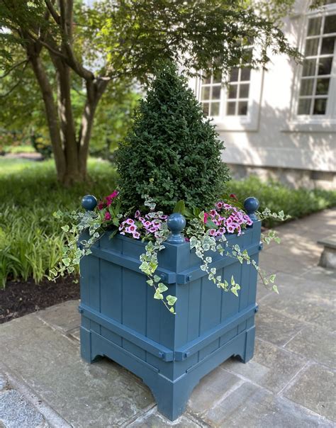 The Ultimate Guide to Patio Trees in Containers: Greenery Without the ...