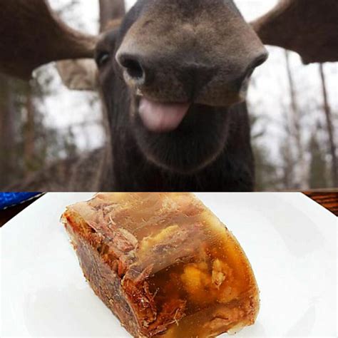 Fascinating Things People Actually Ate During Colonial Times – Home Addict