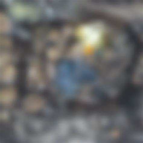 Modern Man Evolution 的图像结果