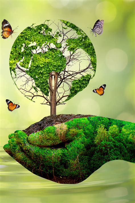 Environmental Protection 的图像结果