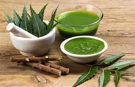 Textile Fiber Structure 的图像结果