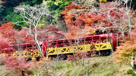 Local Train Japan 的图像结果