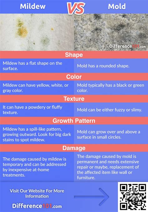 Mildew vs. Mold: Differences, Similarities, Pros & Cons ~ Difference 101