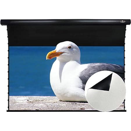 Buy VIVIDSTORM-Moive Screen,Deluxe Tensioned Screen,Electric Tab ...