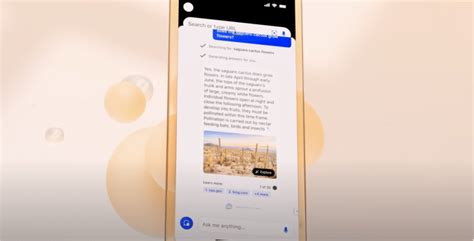 Bing Ai Chat Icon 的图像结果