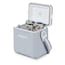 Igloo Tag Along Gray 11-Quart Insulated Personal Cooler 00032651 at ...