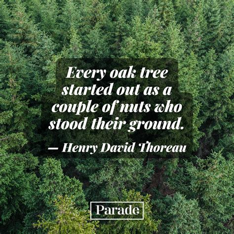 75 Henry David Thoreau Quotes - Parade