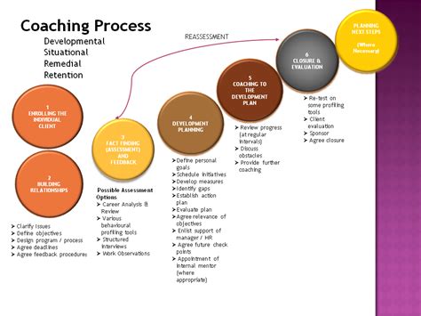 Coaching Process 的图像结果