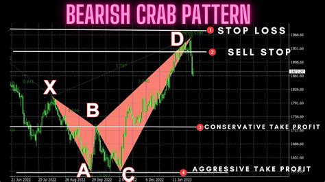 Deep Crab Pattern 的图像结果