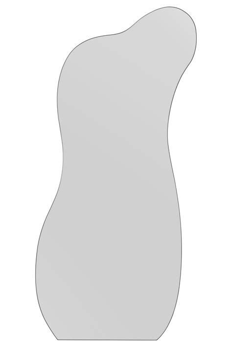 Fluid Silhouette Frameless Floor Mirror With Ebony Outline - 170x80cm ...