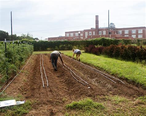 Jones Valley Teaching Farm