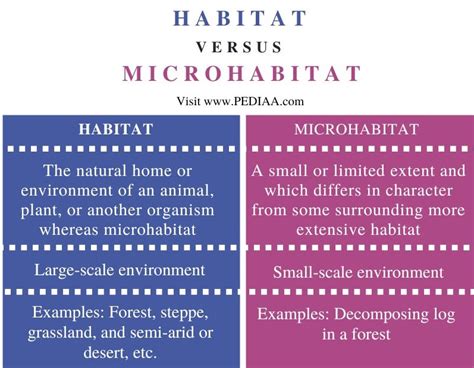 Image result for Microhabitat Examples