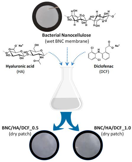 Nanocellulose-Based Patches Loaded with Hyaluronic Acid and Diclofenac ...