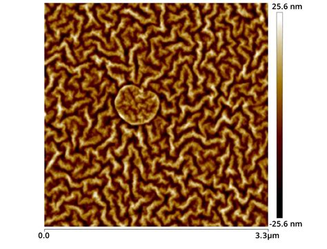 Image result for SPM Tutorial