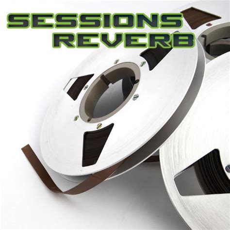 Using Reverb 的图像结果