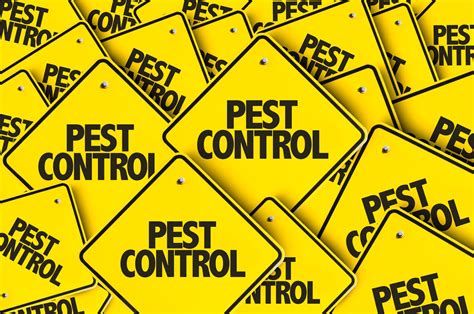 American Pest Management: Pest Control Companies - Know How You Can ...