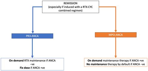 How We Treat ANCA-Associated Vasculitis: A Focus on the Maintenance Therapy