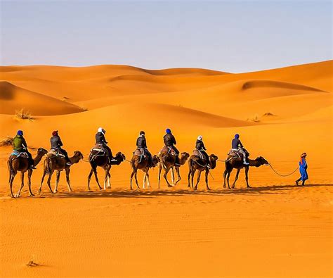 HELO MAROC - VOYAGE AU MAROC (2026) All You Need to Know BEFORE You Go ...