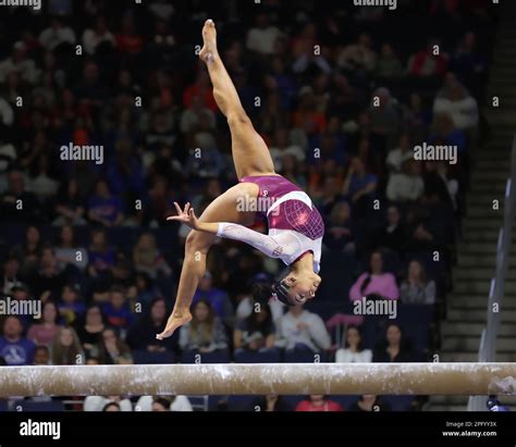 Gymnastics Balance Beam Size at Marjorie Lachance blog