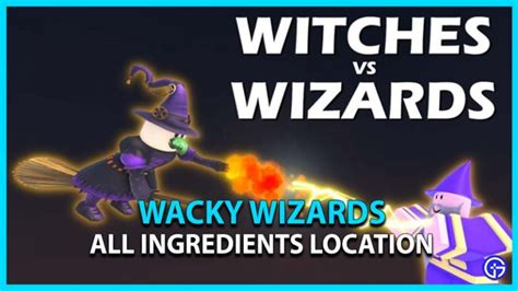 Image result for Wacky Wizards Secrets