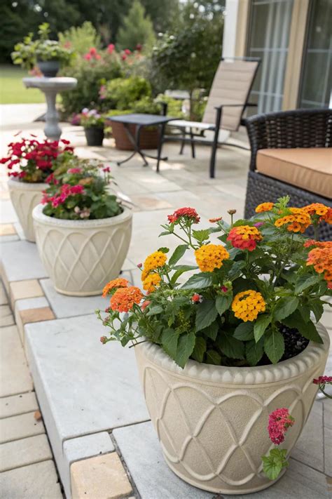 15+ Inspiring Lantana Landscaping Ideas