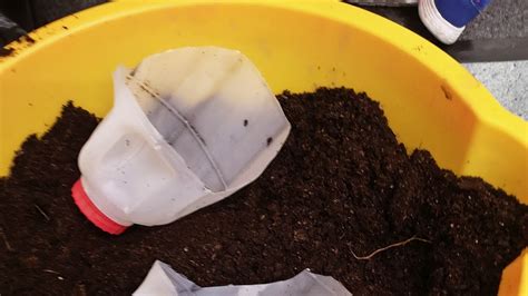 Image result for How to Reuse Milk Containers