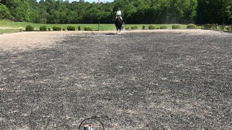 Image result for USDF Intro Test A