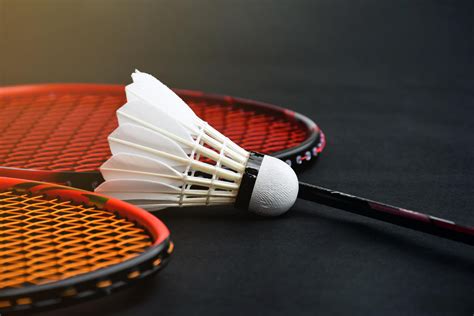 Badminton Racket and Shuttle 的图像结果