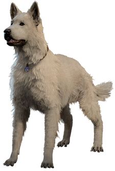 Dog - bg3.wiki