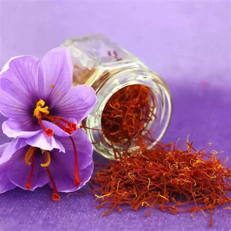 How to Distinguish Between Real and Fake Saffron: A Simple Guide