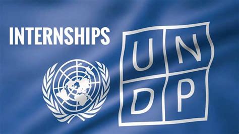 UNDP Opens Online Internship for 2025 With Monthly Stipend