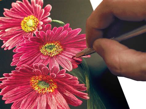 Image result for Scratchboard Tools