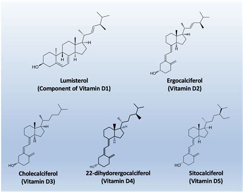 Vitamin D in Cardiovascular Medicine: From Molecular Mechanisms to ...