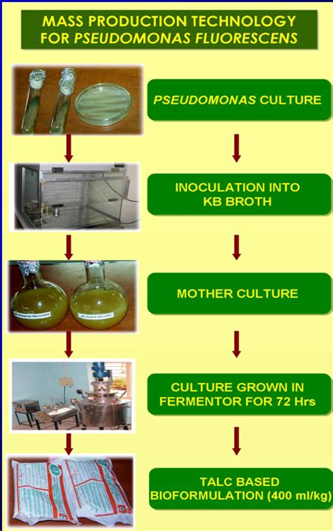 TNAU Agritech Portal :: Crop Protection