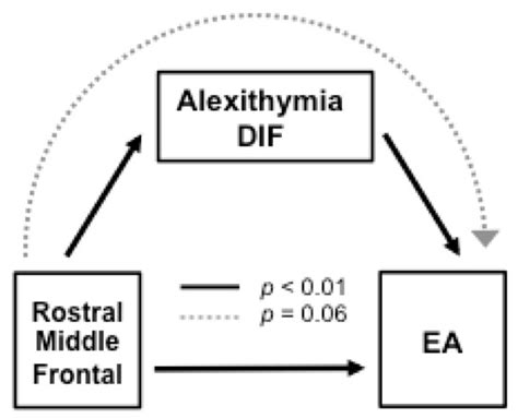 Distinctive Frontal and Occipitotemporal Surface Features in Neglectful ...