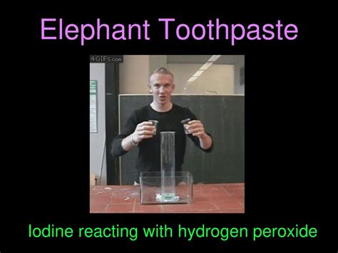 Elephant Toothpaste Reaction Explained 的图像结果
