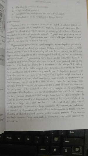 entamoeba histolytica - Zoology - Studocu