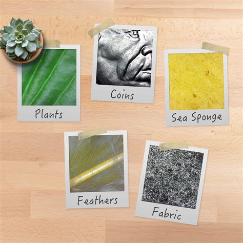 Plugable USB Microscope Windows 的图像结果