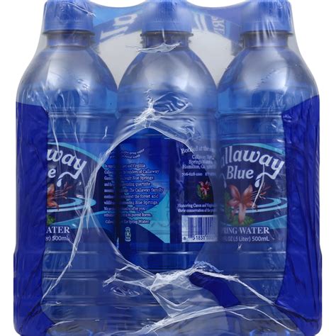 Callaway Blue Spring Water (16.9 fl oz) Delivery or Pickup Near Me ...