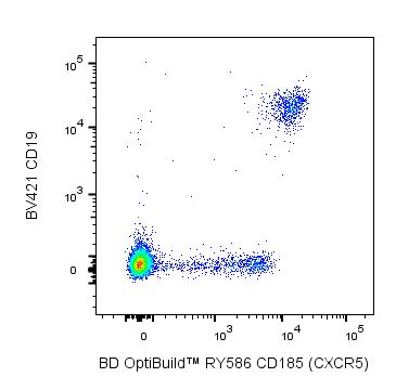 RY586 Rat Anti-Human CXCR5 (CD185)