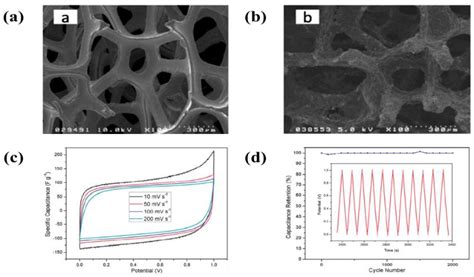 A Comprehensive Review of Nanomaterials Developed Using Electrophoresis ...