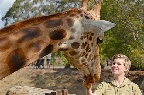 2025 Australia Zoo Admission Ticket (Beerwah) - with Reviews