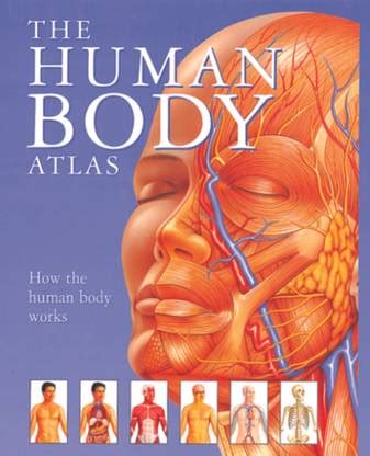 The Human Body Atlas: Buy The Human Body Atlas by Parker Janet at Low ...