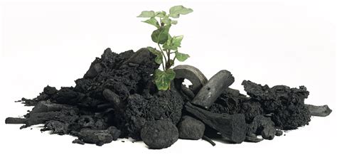 Problem 1: Plastik in den Meeren