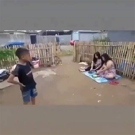 Image result for Download Video Coli