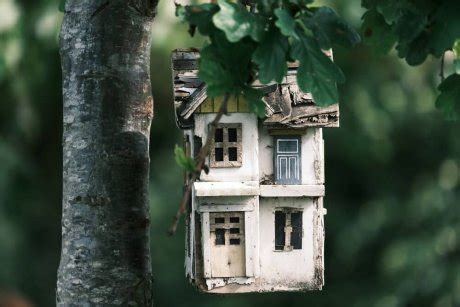 Куда девать старые доски: 7 вариантов | Полезно (Огород.ru)